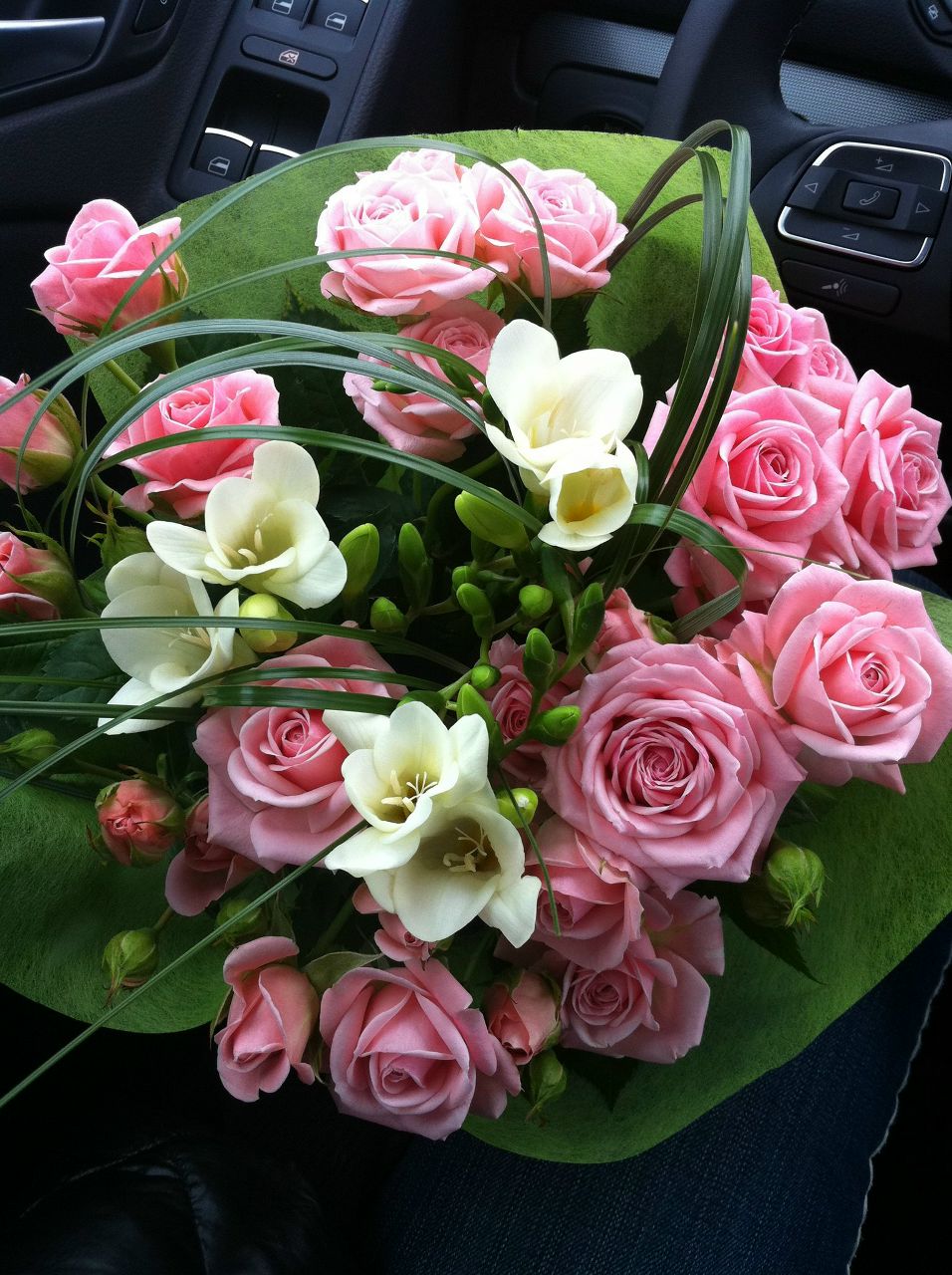 Мария Мочалова Radostj | Рига