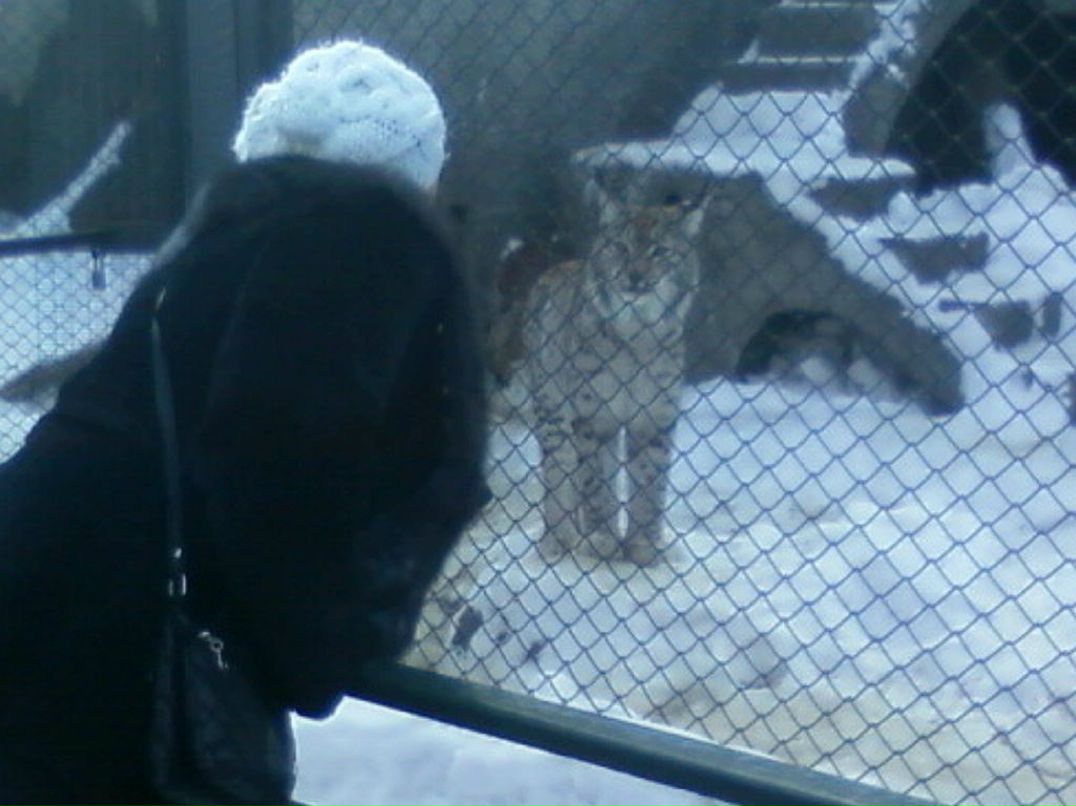 Фархат Байрамов | Москва