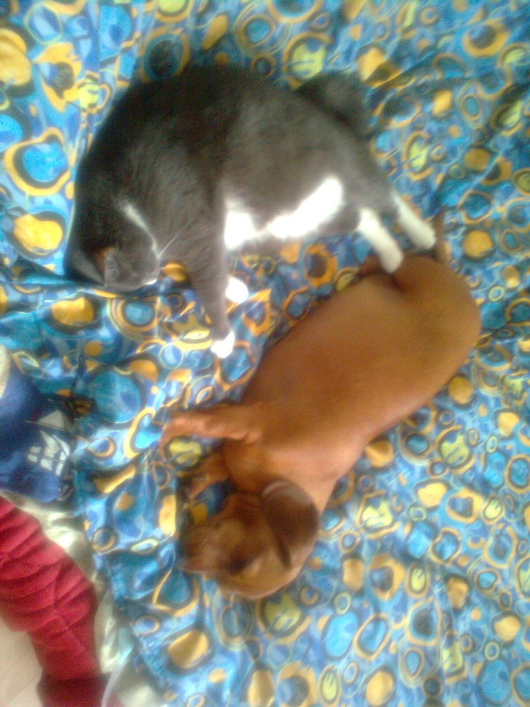 Наталья Гласовская | Тверь