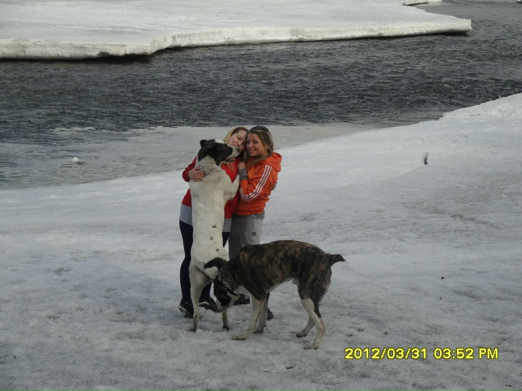 Юлия Бердник | Новокузнецк