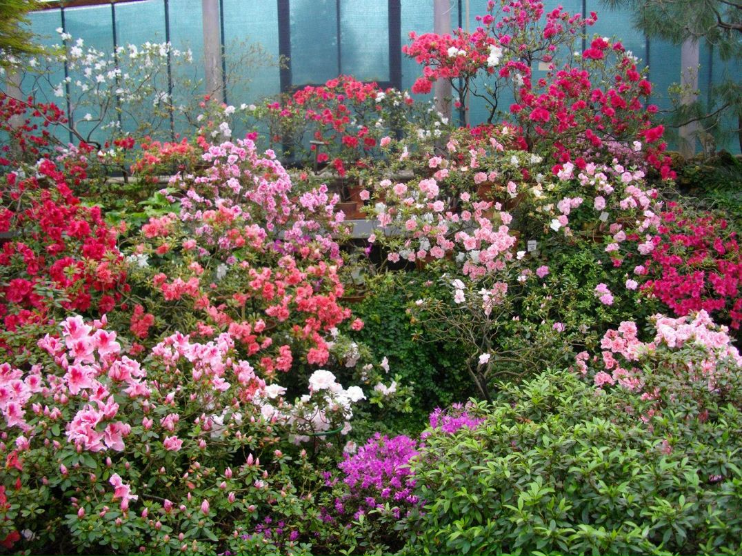 Татьяна Пирогова | Вологда