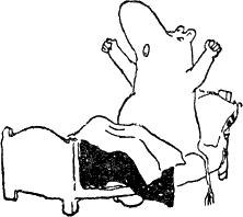 Арина Корнева Aurinko | Мурманск