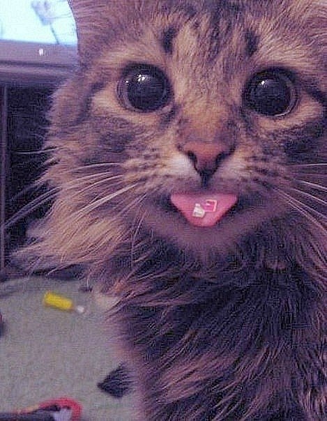 Денис Семенов | Тольятти