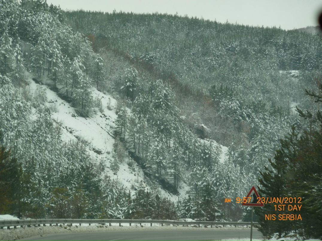 Марина Сойфер | Modi'in-Maccabim-Re'ut