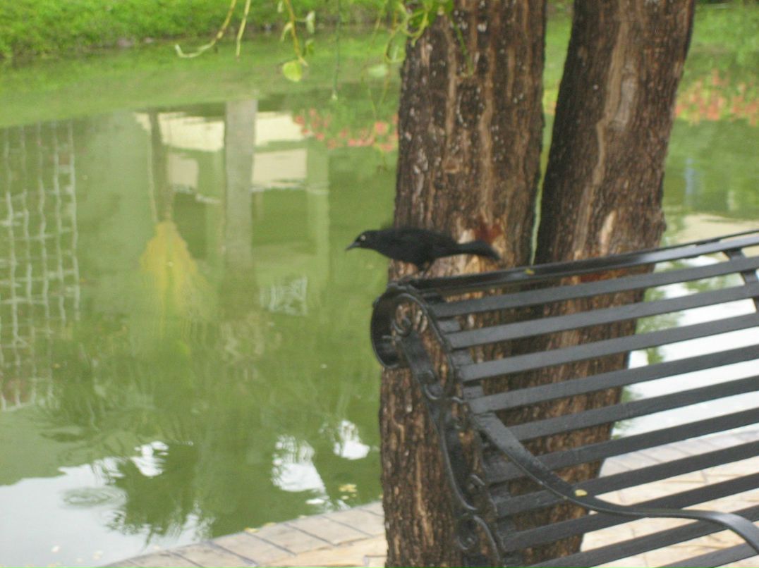 Виктория Угрюмова | Москва