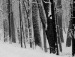 Виталик Твердохлеб фотография #10 (источник - https://vk.com/id41639777)