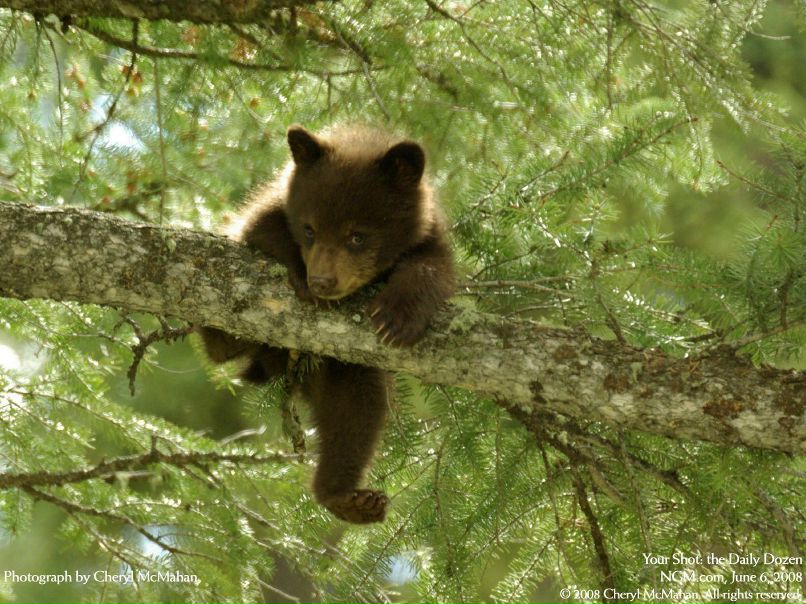 Вова Кузьменко | Харьков