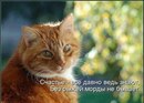 Татьяна Скляр, , 18.03