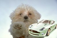 Татьяна Кирикова | Вологда