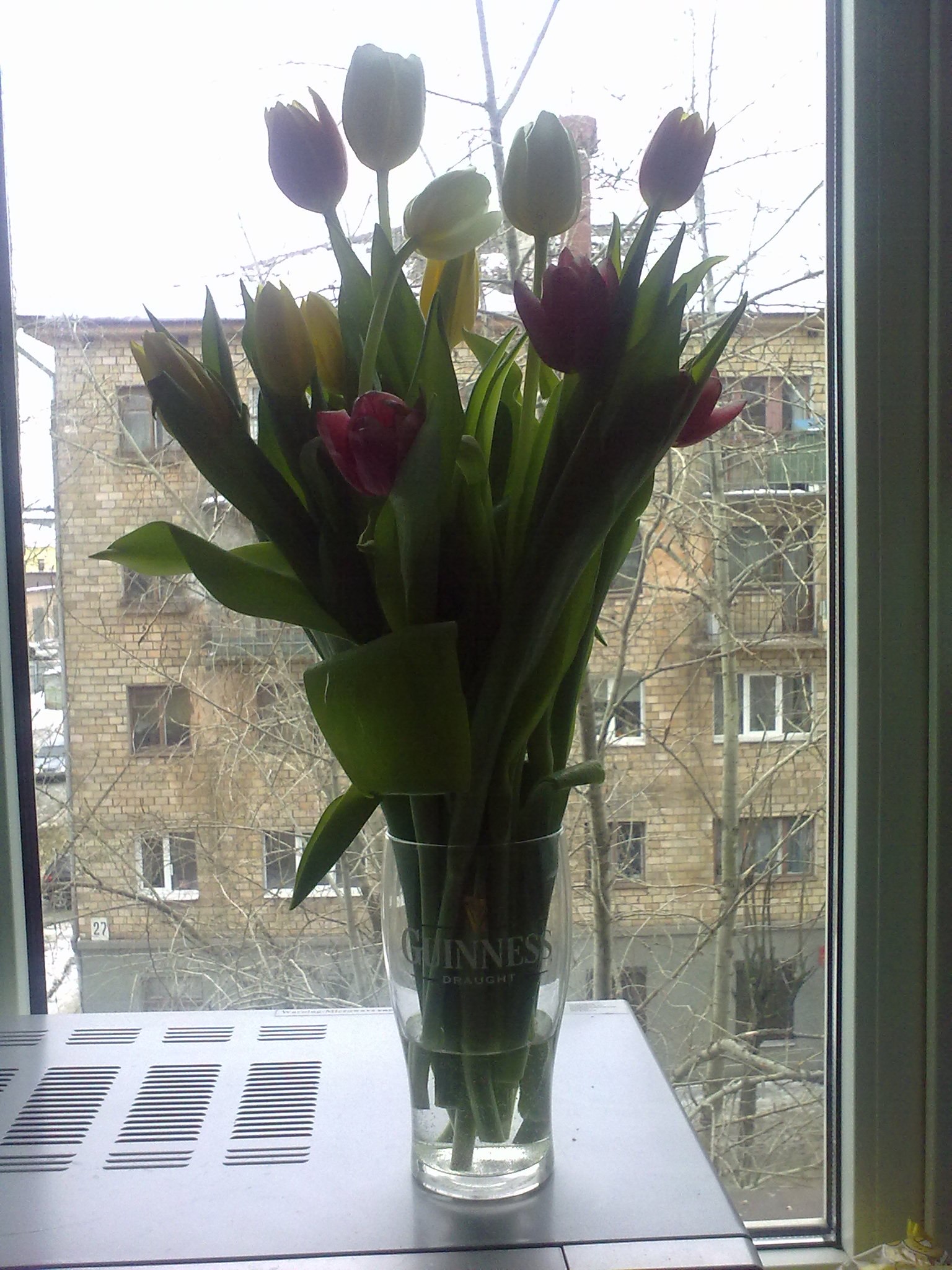 Фото профиля