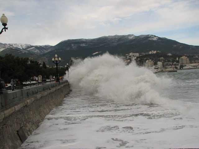 Елисей Бороздин | Ялта