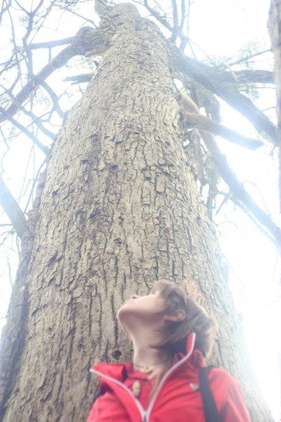 Верона Некроева | Калининград