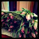 №7, Настасья Тимошина, 6.12, Москва, Россия