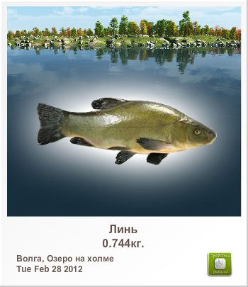 Максим Латушкин | Санкт-Петербург