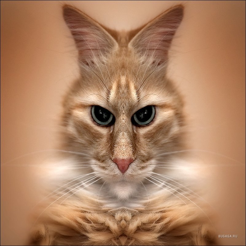 Андрей Клубникин | Самара