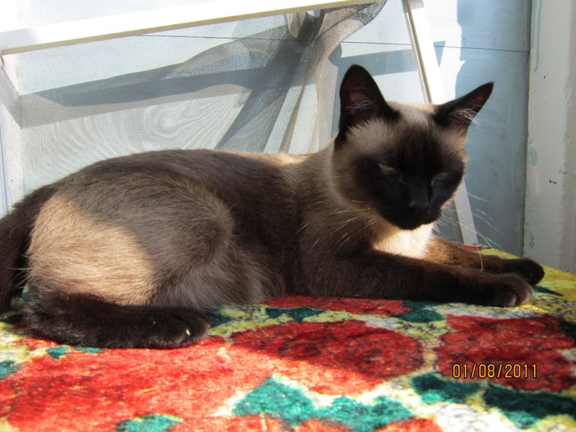 Алина Воронова | Тверь