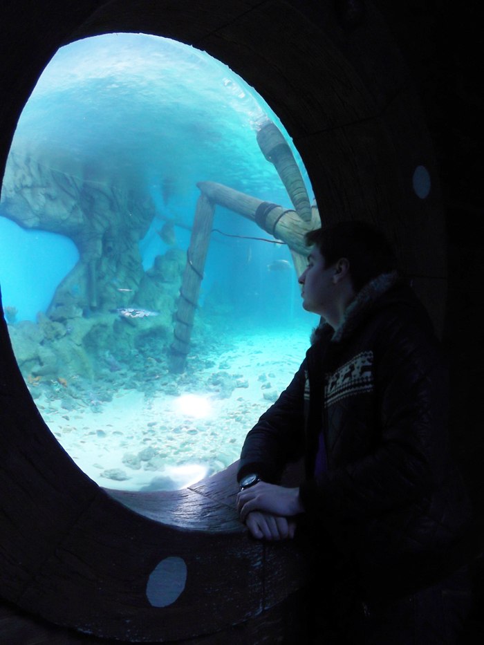 Илья Шох | Москва