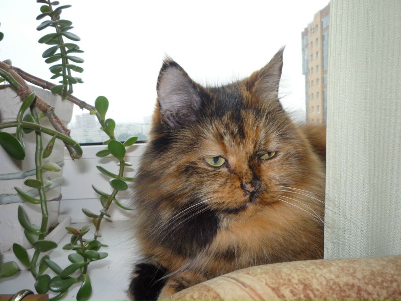 Валентина Кочубеева | Санкт-Петербург