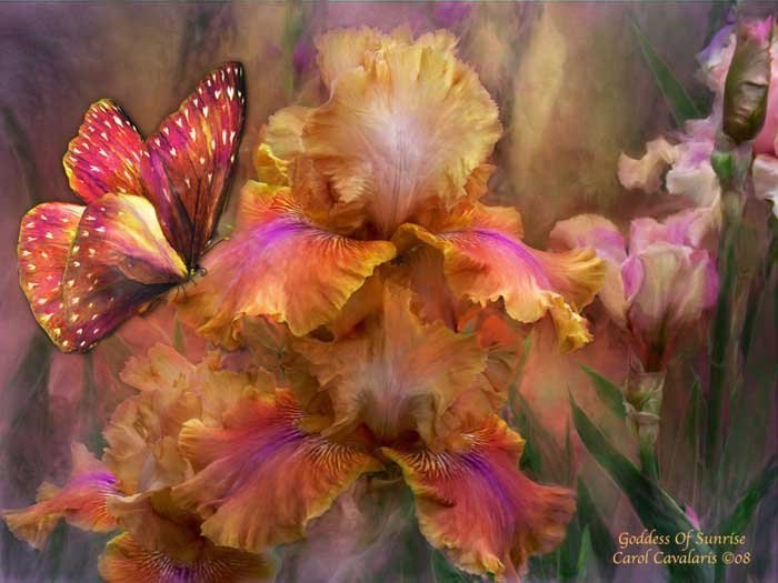 Евгения Стяжкина | Казань