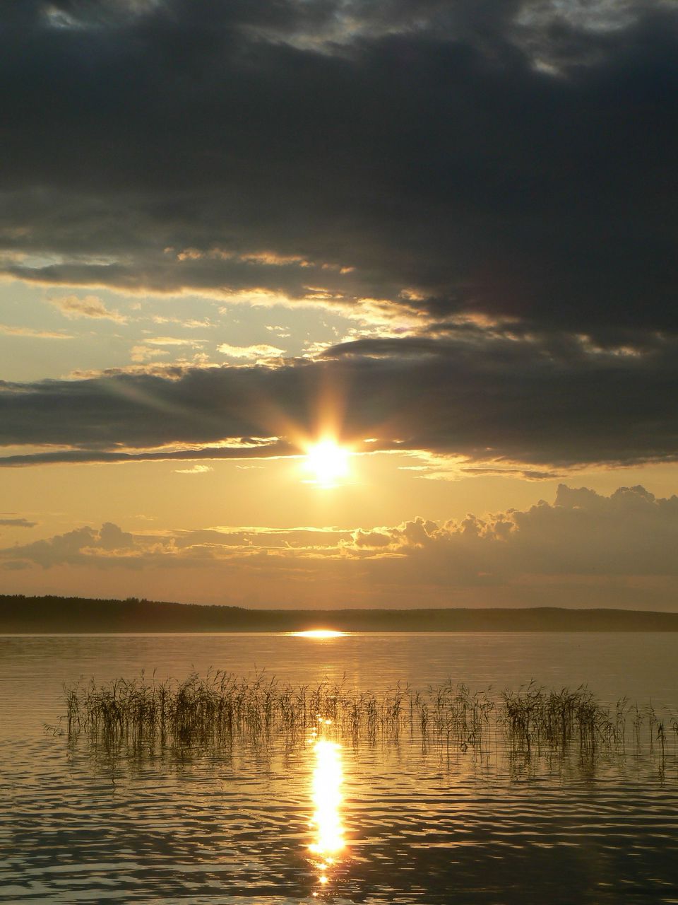 Илья Борисов | Санкт-Петербург