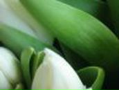 Кристина Петраш | Запорожье