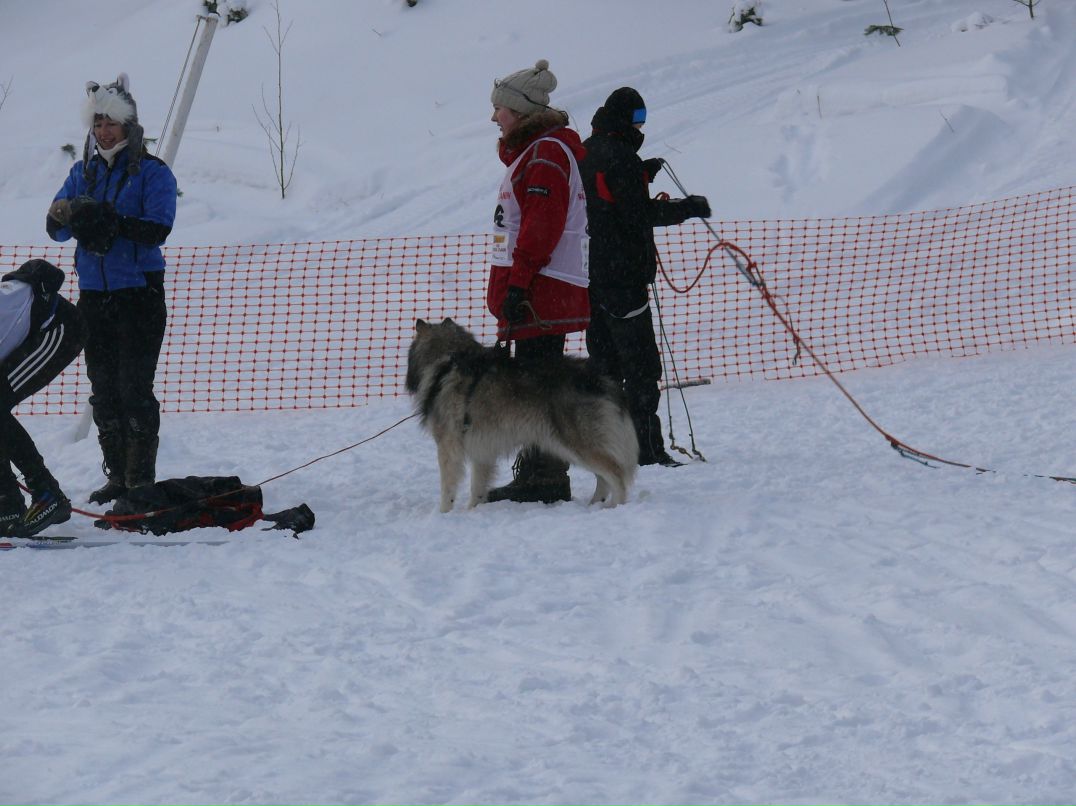 Екатерина Виноградова | Петрозаводск