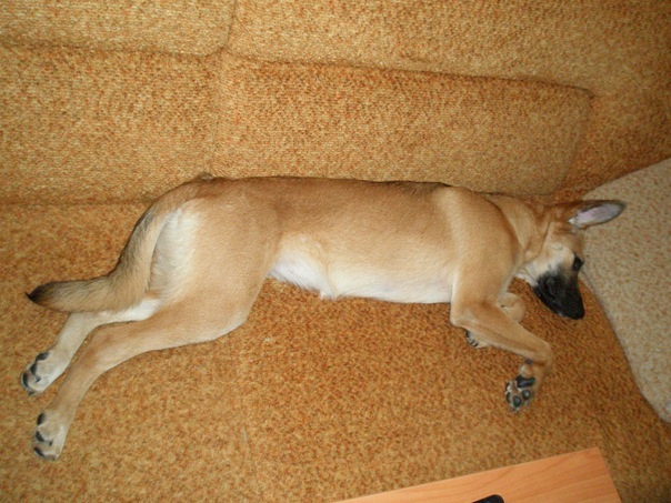 №146, Наталья Полева, Санкт-Петербург №146, Наталья Полева, Санкт-Петербург