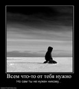 №5 Юлия Михеева 14.11: профиль, фото, статус - ВКонтакте