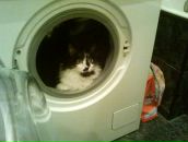 №18 Екатерина Афанасьева 19.05.1988: профиль, фото, статус - ВКонтакте