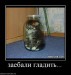 Константин Дулкин фотография #15 (источник - https://vk.com/id60670603)