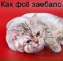 Фотография Евгения Новикова