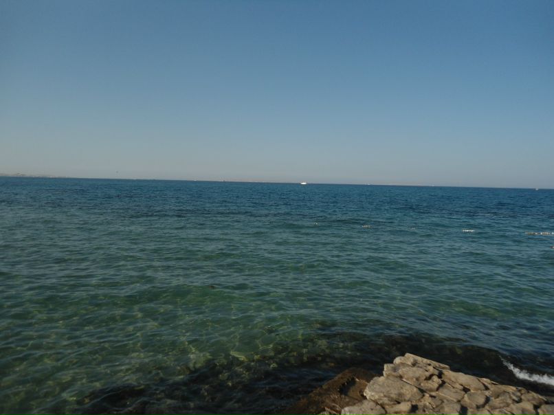 Александер Петров | 