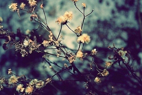 Дарья Шеховцова | Москва