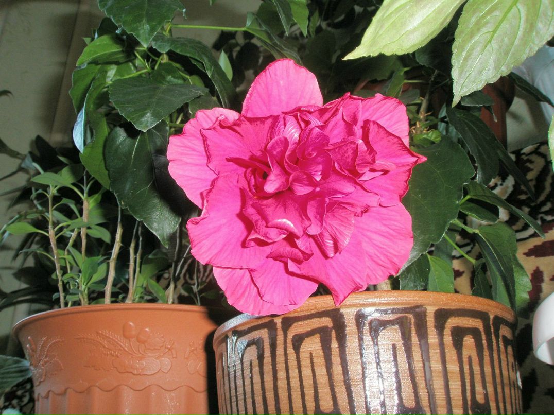 Алина Анисимова | Казань