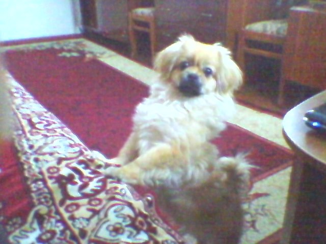 Елена Гусева | Монастырище