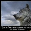 Аватар: Анзор Карданов