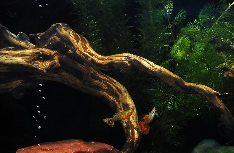 Эльвира Ермакова | Красино