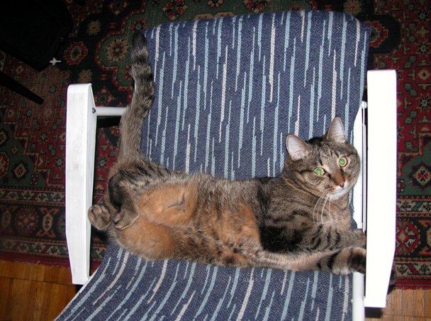 Олигарх Василий Просто | 