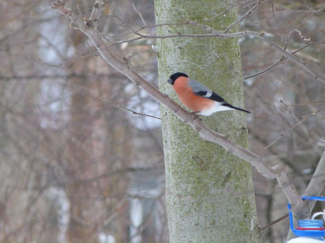 Инна Малмыга | Санкт-Петербург