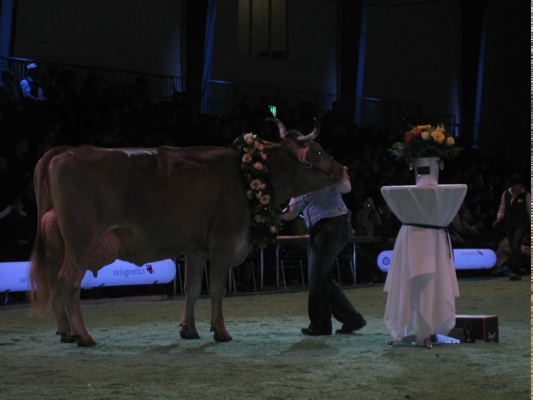 Наталья Титлянова | Lausanne