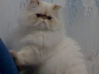 Сергей Бережной Александрович | Симферополь