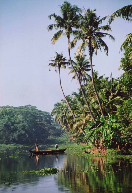 Zeleniy Zzzz | Екатеринбург