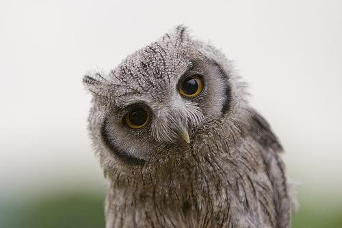 №60, Юля Тесля, Киев №60, Юля Тесля, Киев