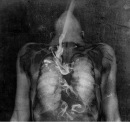 Фотография Саратовой Полины