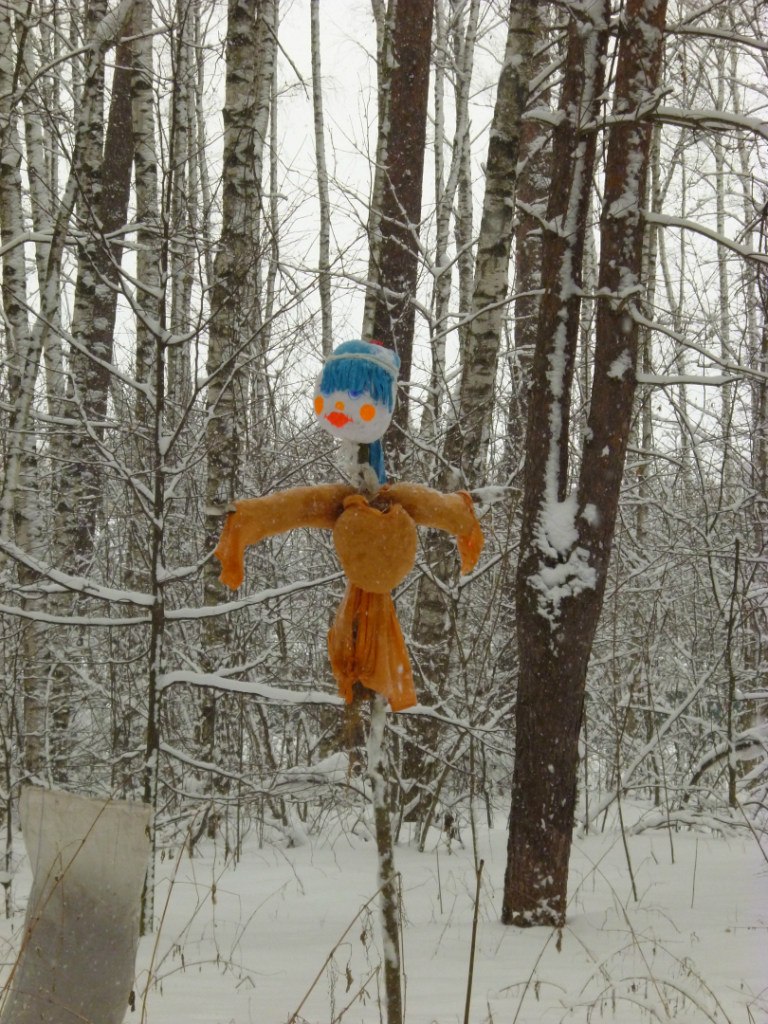 Анна Романенкова | Ногинск