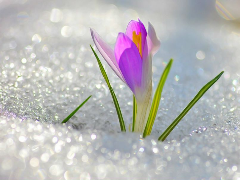 Мар'яна Козій | Тернополь