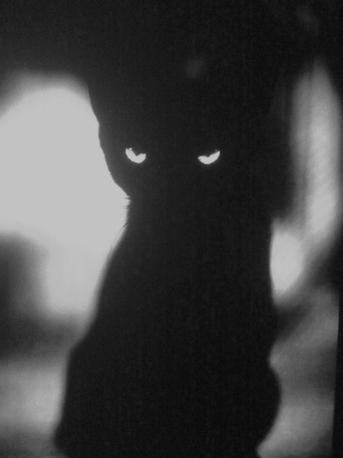 Ирина Винтур | Киев