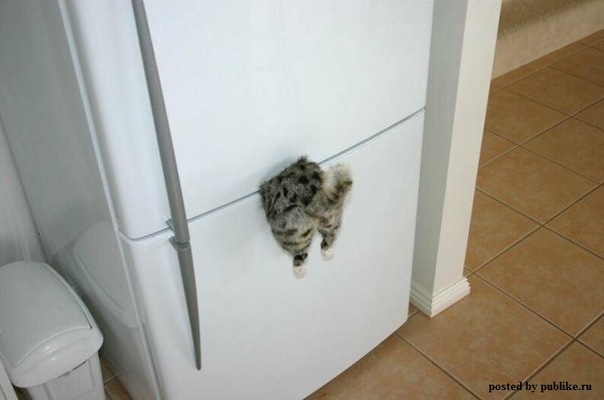 №32, Галина Лунина, Казань №32, Галина Лунина, Казань