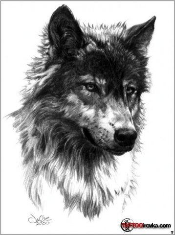 №9, Artemiy Vasilev №9, Artemiy Vasilev