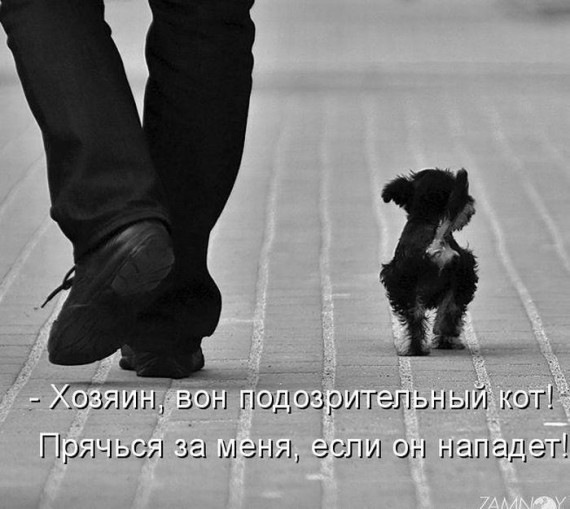 №182, Александра Донина, 40 лет, Нижний Новгород №182, Александра Донина, 40 лет, Нижний Новгород